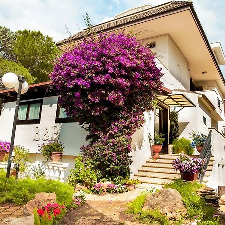 Bed&breakfast Santa Fara Bari Exteriör bild